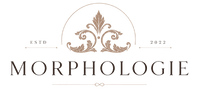 Morphologie Art